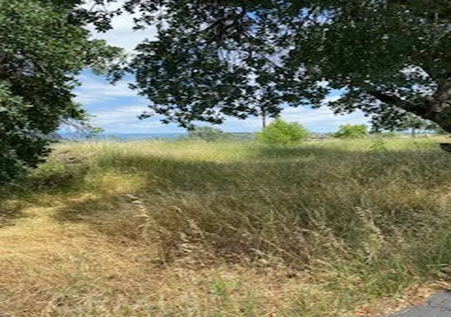 Photo 2 of Land for sale at 239 Eagle Nest, Chico, CA 95928 | MLS# PA26093926 | Listing updated on 2026-09-13