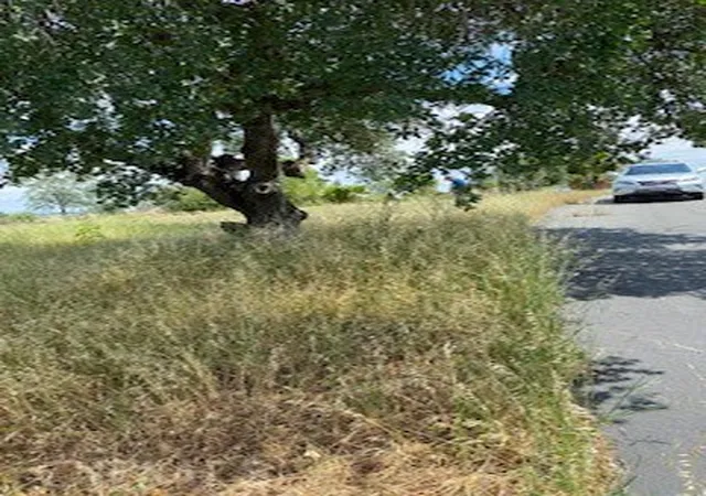 Photo 3 of Land for sale at 239 Eagle Nest, Chico, CA 95928 | MLS# PA26093926 | Listing updated on 2026-09-13