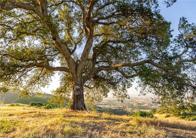 Photo 1 of Land for sale at 2762 Adelaida Rd, Paso Robles, CA 93446 | MLS# NS26099588 | Listing updated on 2026-05-09