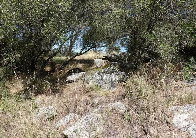 11th image of 0 Running Deer Way, Coarsegold, CA 93614 | MLS# RS26097835