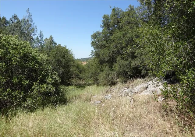 1st image of 0 Running Deer Way, Coarsegold, CA 93614 | MLS# RS26097835