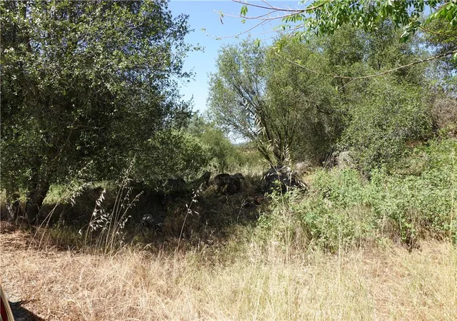 2nd image of 0 Running Deer Way, Coarsegold, CA 93614 | MLS# RS26097835