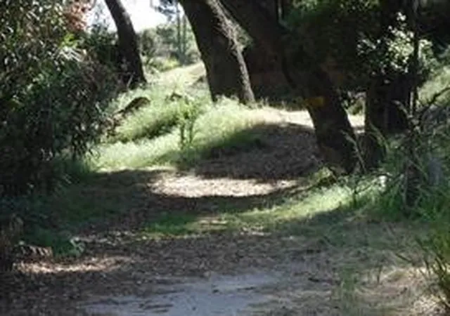 6th image of 4937 Palmer Canyon, Claremont, CA 91711 | MLS# CV26083336