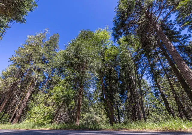 Photo 1 of Land for sale at Lot 78 Cedar Pines Dr, Lake Arrowhead, CA 92352 | MLS# 219147714DA | Listing updated on 2026-07-02