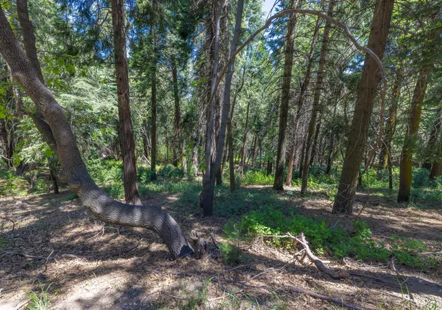 Photo 2 of Land for sale at Lot 78 Cedar Pines Dr, Lake Arrowhead, CA 92352 | MLS# 219147714DA | Listing updated on 2026-07-02