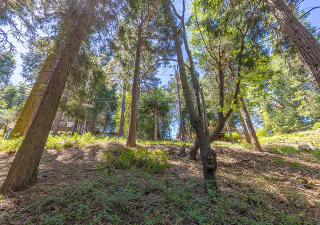 Photo 4 of Land for sale at Lot 78 Cedar Pines Dr, Lake Arrowhead, CA 92352 | MLS# 219147714DA | Listing updated on 2026-07-02