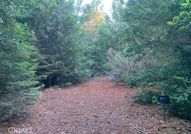 1st image of 0 Off Skyway, Magalia, CA 95954 | MLS# PA26101932