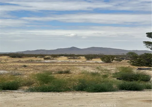 2nd image of 20505 Palmdale Blvd E, Palmdale, CA 93591 | MLS# PW26102477
