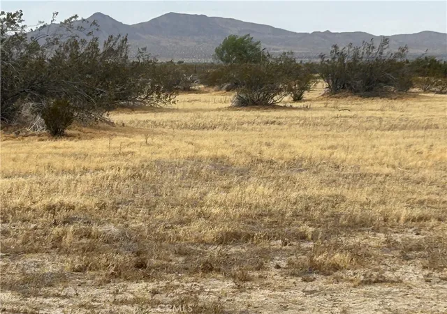 8th image of 20505 Palmdale Blvd E, Palmdale, CA 93591 | MLS# PW26102477