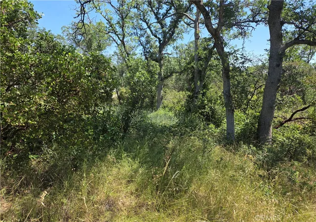9th image of 17087 Laramie, Corning, CA 96021 | MLS# SN26103570