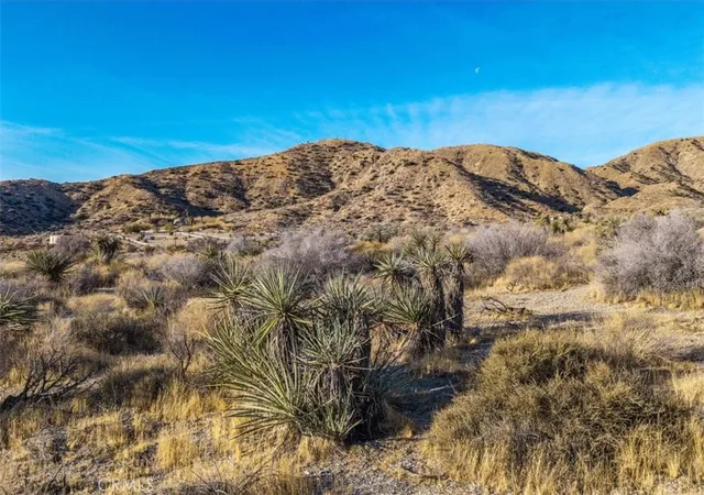 5th image of 0 Palo Verde Rd, Morongo Valley, CA 92256 | MLS# JT26103556