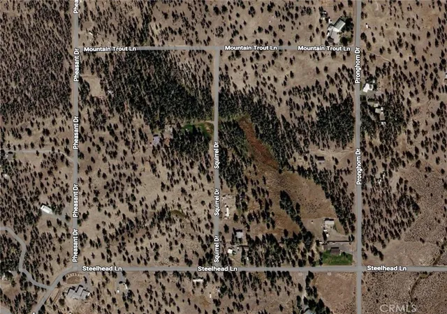 1st image of 0 Pheasant Dr, Alturas, CA 96101 | MLS# DW26103419