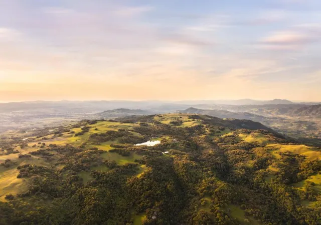 47th image of 3100 Sonoma Mountain Rd, Sonoma, CA 95476 | MLS# ML82046933