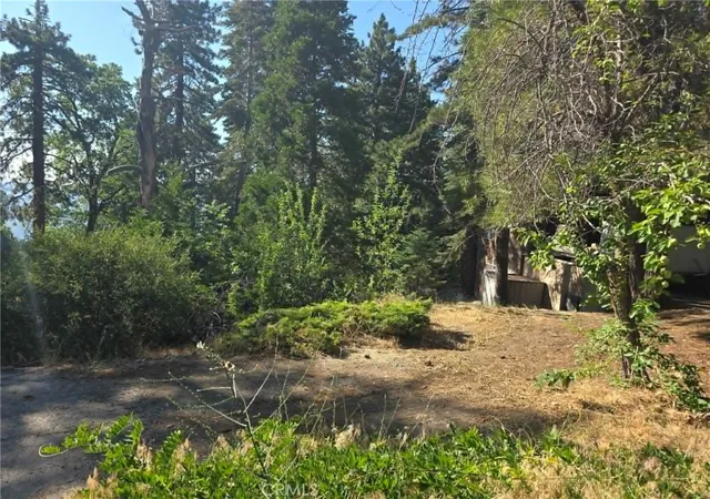 30th image of 30778 Live Oak, Running Springs, CA 92382 | MLS# IV26103783
