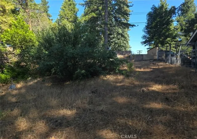 5th image of 30778 Live Oak, Running Springs, CA 92382 | MLS# IV26103783
