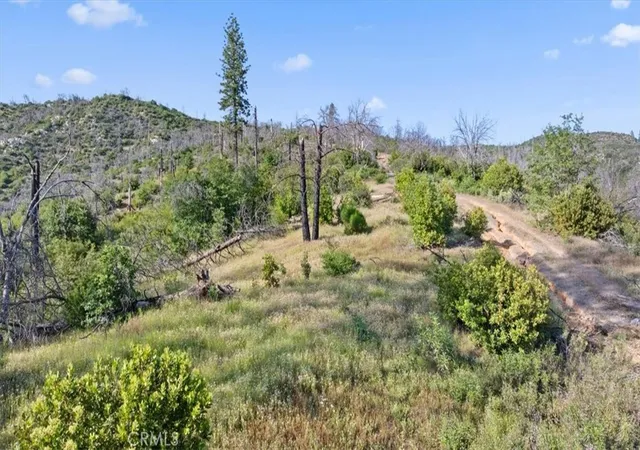 Photo 3 of Land for sale at 0 Eckards, Berry Creek, CA 95916 | MLS# OR26103941 | Listing updated on 2026-05-13