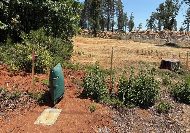 Photo 4 of Land for sale at 8746 Skyway, Paradise, CA 95969 | MLS# PV26104145 | Listing updated on 2026-10-02