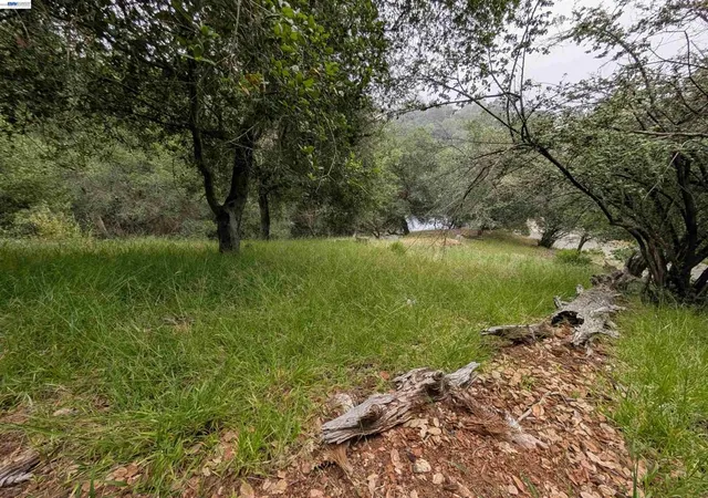 13th image of 00 Girvin Dr, Oakland, CA 94603 | MLS# 41134590