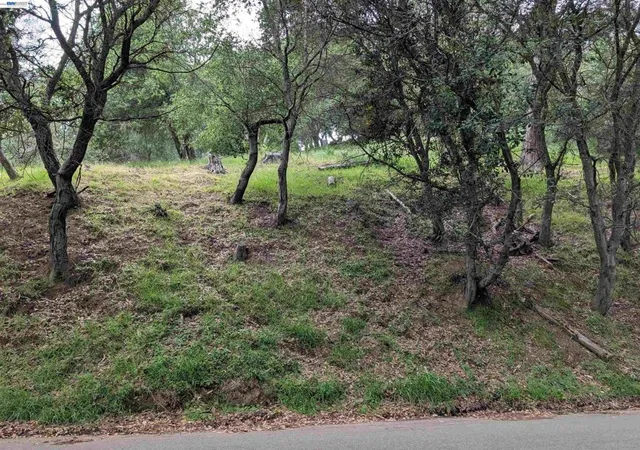 2nd image of 00 Girvin Dr, Oakland, CA 94603 | MLS# 41134590