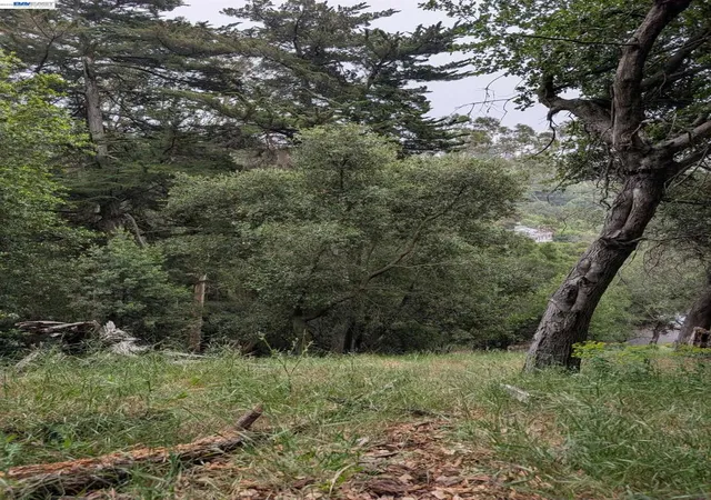 Photo 3 of Land for sale at 00 Girvin Dr, Oakland, CA 94603 | MLS# 41134590 | Listing updated on 2026-06-24
