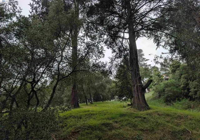 Photo 4 of Land for sale at 00 Girvin Dr, Oakland, CA 94603 | MLS# 41134590 | Listing updated on 2026-06-24