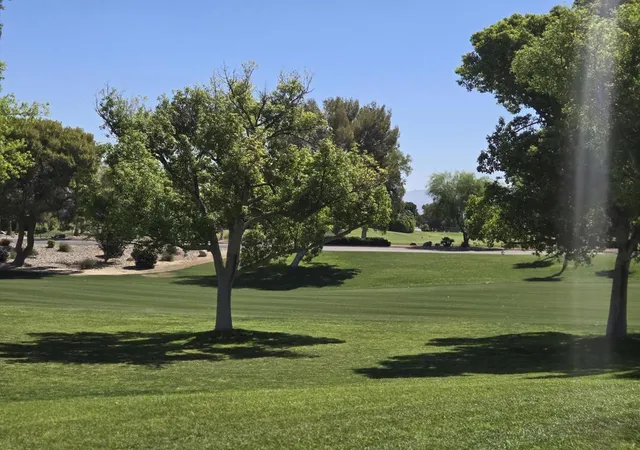 15th image of 28486 Taos Ct, Cathedral City, CA 92234 | MLS# 219147869DA