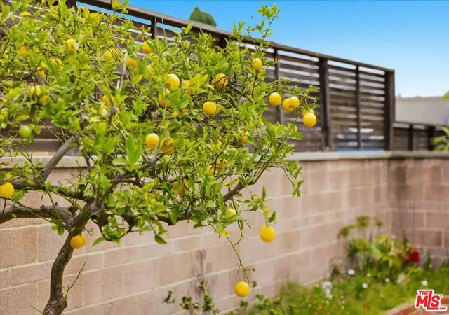 18th image of 3335 Cabrillo Blvd, Los Angeles, CA 90066 | MLS# 26833651
