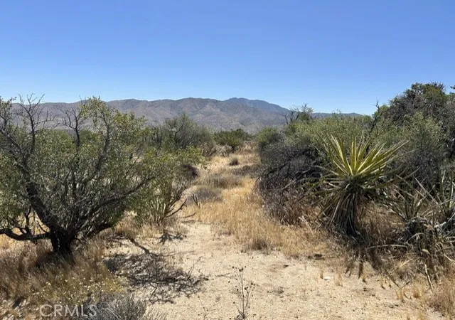 Photo 3 of Land for sale at 7 Carrizo Rd, Mountain Center, CA 92561 | MLS# SW26105737 | Listing updated on 2026-05-15