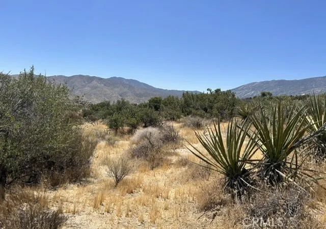 4th image of 7 Carrizo Rd, Mountain Center, CA 92561 | MLS# SW26105737