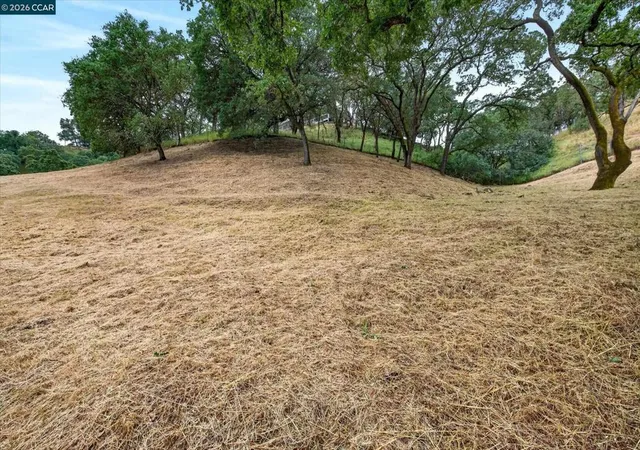 52nd image of 58 Saddle Rd, Walnut Creek, CA 94595 | MLS# 41134858
