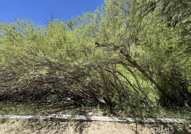 3rd image of 0 Wild Rose, Green Valley Lake, CA 92341 | MLS# IG26106294