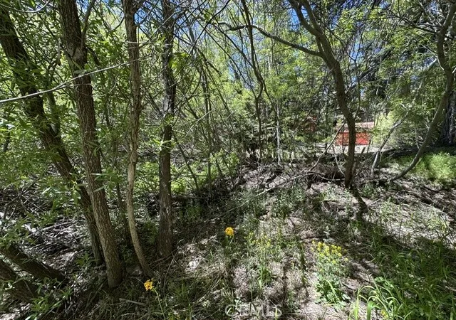4th image of 0 Wild Rose, Green Valley Lake, CA 92341 | MLS# IG26106294