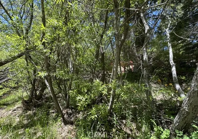 5th image of 0 Wild Rose, Green Valley Lake, CA 92341 | MLS# IG26106294