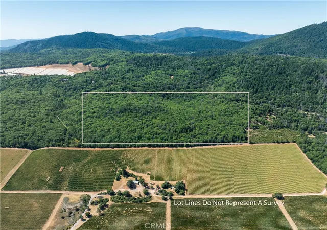 2nd image of 9600 Seigler Springs North Road, Kelseyville, CA 95451 | MLS# LC26106448