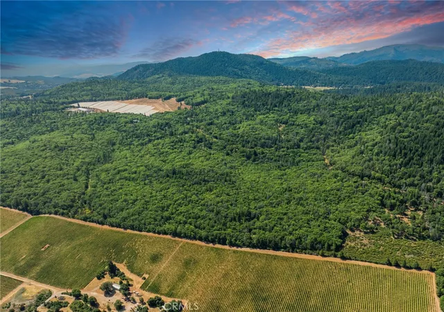 3rd image of 9600 Seigler Springs North Road, Kelseyville, CA 95451 | MLS# LC26106448
