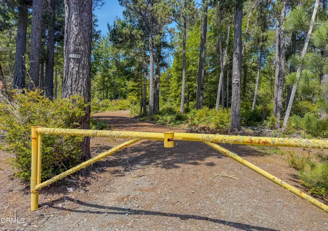 Homes for sale in Albion, CA | 28540 Albion Ridge Rd, Albion, CA 95410 | MLS# C1-11390