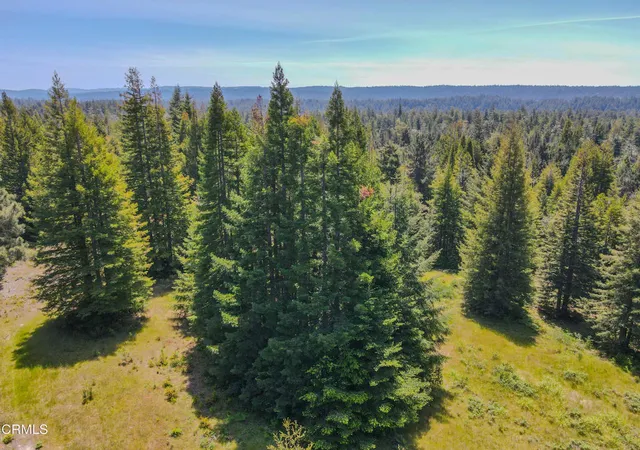 Homes for sale in Albion, CA | 28540 Albion Ridge Rd, Albion, CA 95410 | MLS# C1-11390