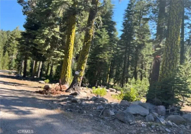 1st image of 0 Logging Rd, Viola, CA 96088 | MLS# LC26106644