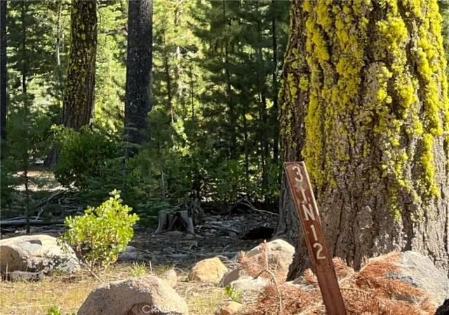 Photo 3 of Land for sale at 0 Logging Rd, Viola, CA 96088 | MLS# LC26106644 | Listing updated on 2026-05-15