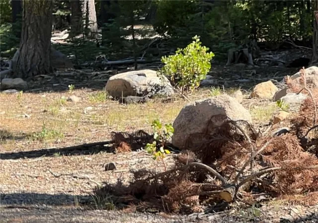 Photo 4 of Land for sale at 0 Logging Rd, Viola, CA 96088 | MLS# LC26106644 | Listing updated on 2026-05-15
