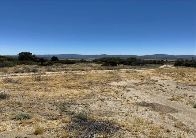10th image of 37380 Bohlen, Anza, CA 92539 | MLS# CV26106589