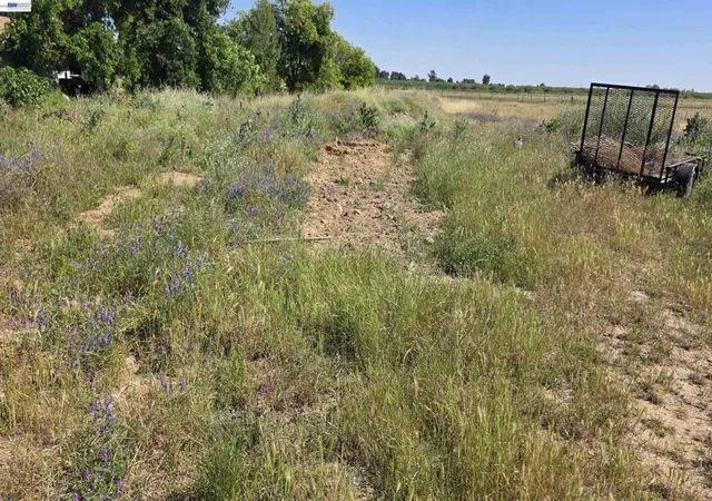 5th image of 3541 Howsley Road, Pleasant Grove, CA 95668 | MLS# 41135062