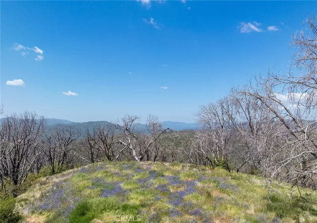 Homes for sale in Mariposa, CA | 39 Acres Buckingham Mountain Rd, Mariposa, CA 95338 | MLS# MP26107178