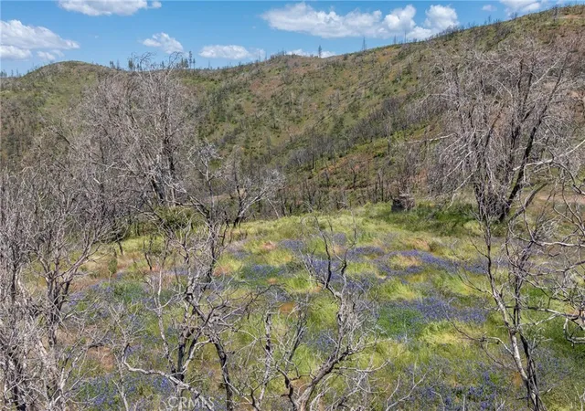 Photo 3 of Land for sale at 39 Acres Buckingham Mountain Rd, Mariposa, CA 95338 | MLS# MP26107178 | Listing updated on 2026-06-15