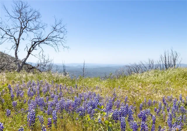 Photo 3 of Land for sale at 39 Acres Buckingham Mountain Rd, Mariposa, CA 95338 | MLS# MP26107178 | Listing updated on 2026-06-15