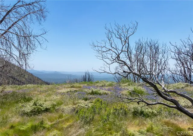 Photo 4 of Land for sale at 39 Acres Buckingham Mountain Rd, Mariposa, CA 95338 | MLS# MP26107178 | Listing updated on 2026-06-15