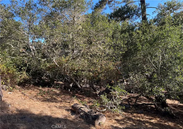 Homes for sale in Cambria, CA | 0 Bradford, Cambria, CA 93428 | MLS# SC26107334