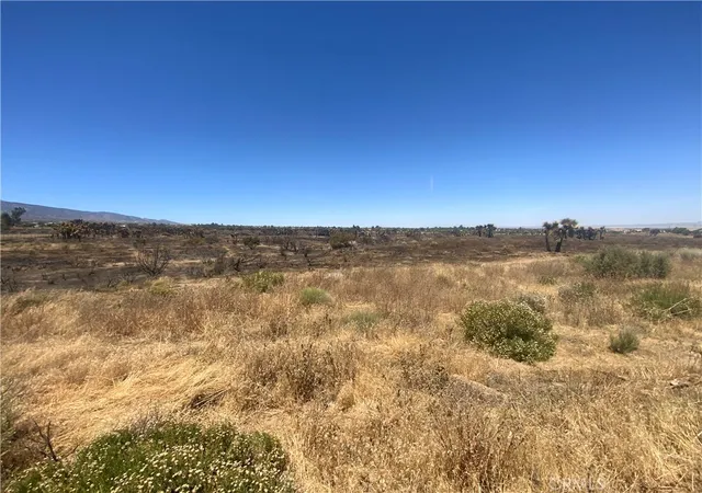Photo 1 of Land for sale at 0 Joshua Tree, Landers, CA 92285 | MLS# IV26107536 | Listing updated on 2026-05-17