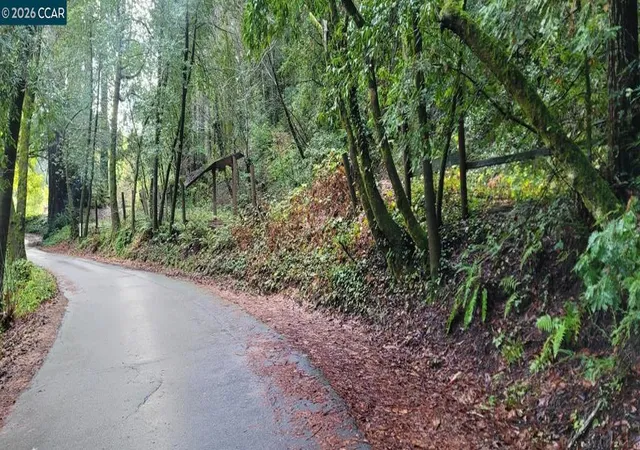 Photo 4 of Land for sale at 11190 Mcpeak Rd, Forestville, CA 95436 | MLS# 41135128 | Listing updated on 2026-05-24