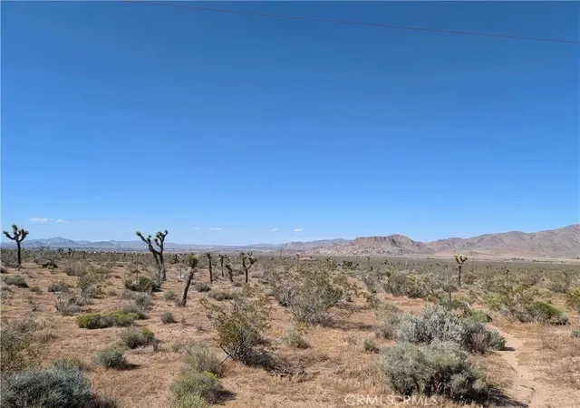 2nd image of 123 Main, Apple Valley, CA 92307 | MLS# TR26107941